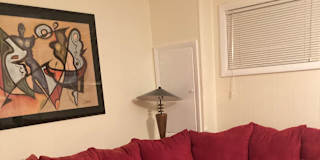 Amy's room