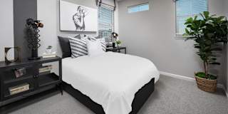 David's room