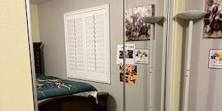 Zinaida's room