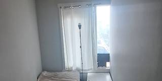 Dan's room