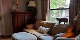 Jebbie's room