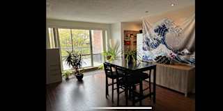 Michal Kistowski's room