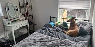 Shannon's room