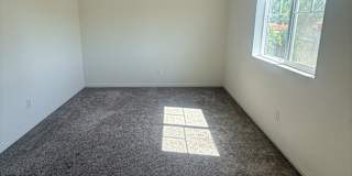 Brenda's room