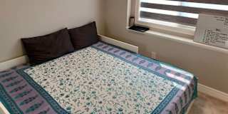 Yuvi Edmonton's room