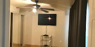 Peter's room