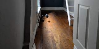 Mark's room