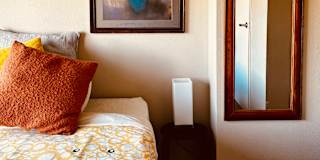 Snowdon's room