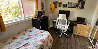 Catherine's room