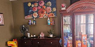 Latoya domeanell profit's room