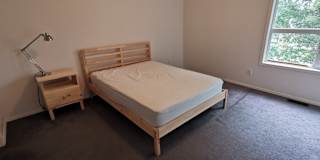 Daniel's room