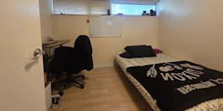 Dragan's room