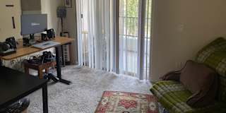 Brett's room