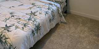 Ab's room