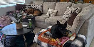 Sumer's room