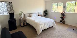 Orly's room