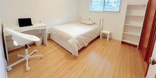 Shirin's room