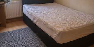 Suzanne's room