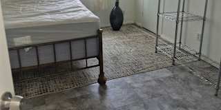 Mary's room