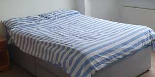 Roger Sherlock's room