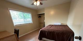 Lana's room