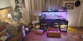 D's room