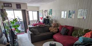 Teri's room