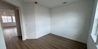 Mehrdad's room