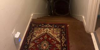 sandy's room