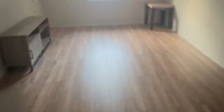 Mina's room