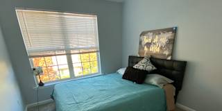 Micheal's room
