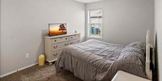 Adam's room