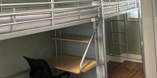 Zoran's room