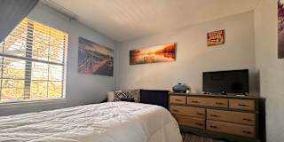 Mary's room