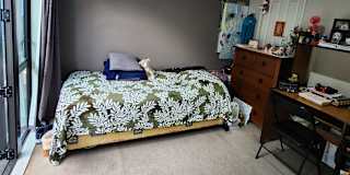 Anu's room