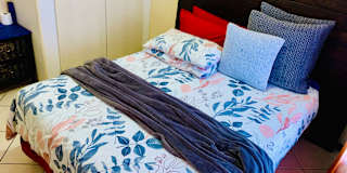 Olga's room