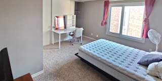 Ning's room