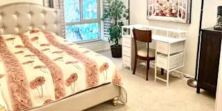 Vahid's room