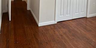 Jane's room