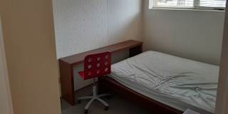 Dave's room
