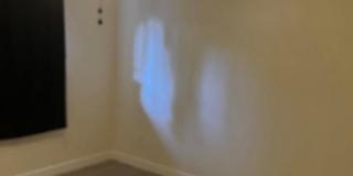 Carlee's room