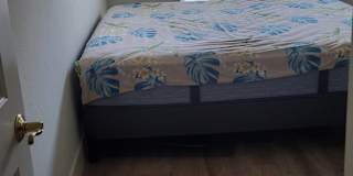 Satish's room