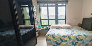 adaighy's room