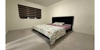 Rauf's room