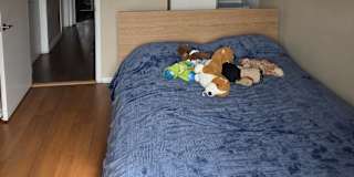Paul or Xander's room
