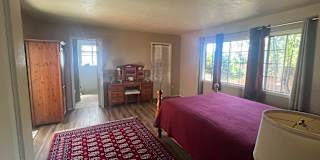 Courtenay's room