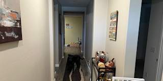 Maria's room