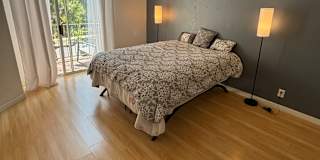 Shahla's room