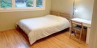 Shirin's room