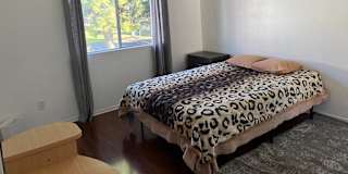 Lucy's room